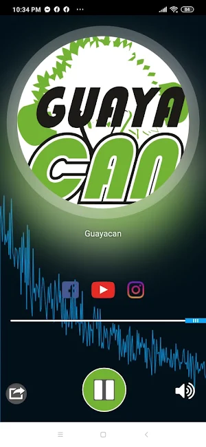 Guayacan Screenshot 2