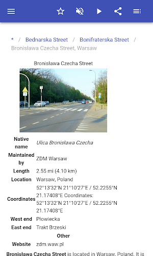 Streets in Warsaw Screenshot 3
