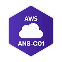 AWS ANS-C01 Dojo Exam