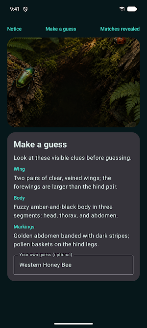 Insect Discover Screenshot 1