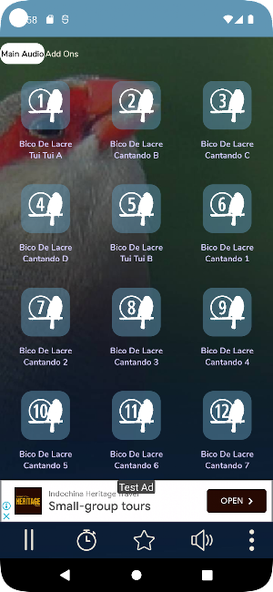 Bico De Lacre Cantando Screenshot 0