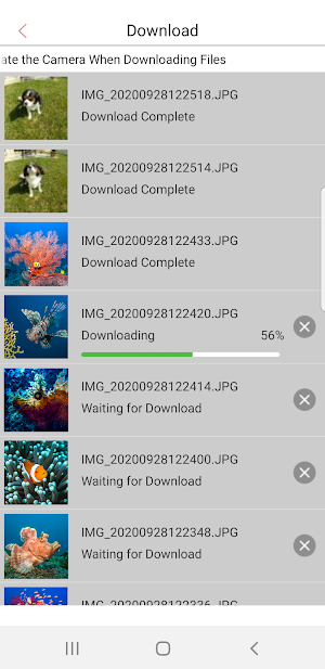 ReefMaster Screenshot 3