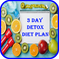 3 Day Detox Day Plan