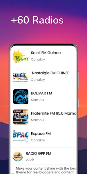 NetFM Guinee Screenshot 3