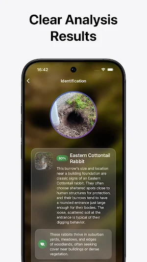 Burrow & Hole Identifier Screenshot 2