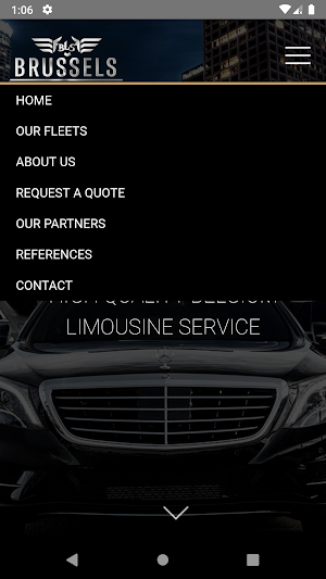 Brussels Limousine Services Screenshot 1