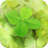 7Leaf