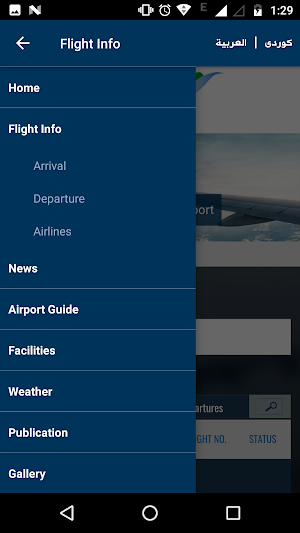 Sul. International Airport Screenshot 2
