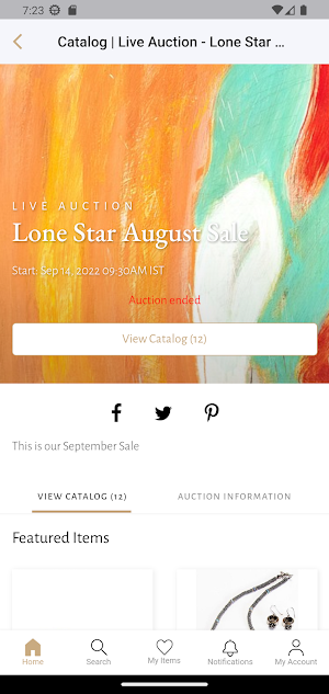 Lone Star Art Auction 2022 Screenshot 2