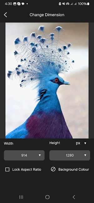 Photo Resizer Ultimate Screenshot 2