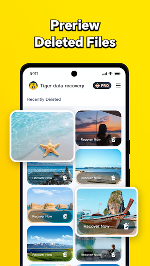 Tiger Data Recovery-Photo File Screenshot 3