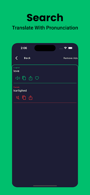 Danish Dictionary English Screenshot 3