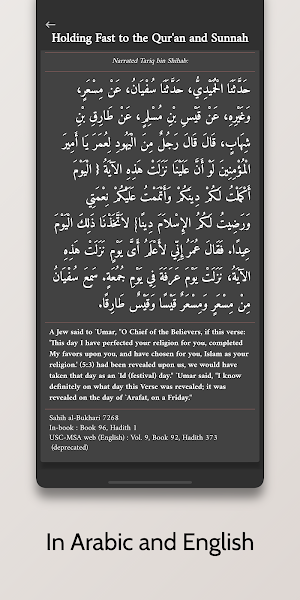 Hadith Collection - Islam, Qur'an, Sunnah Screenshot 3
