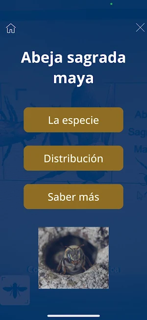 IztacalaAR Screenshot 2