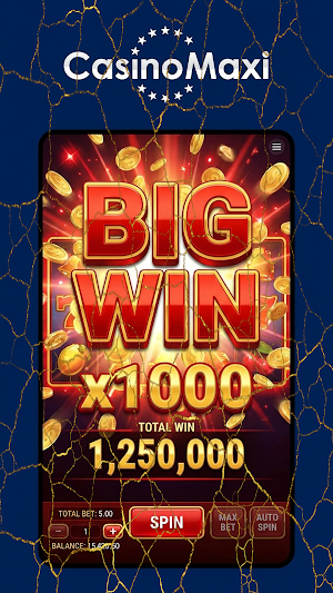 Casino Maxi Screenshot 3