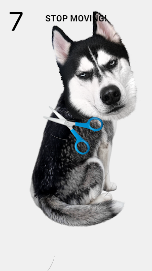 Trim The Dog Screenshot 1
