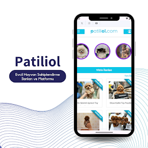 PatiliOl Screenshot 3
