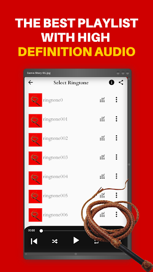 Horse whip sound screenshot 2