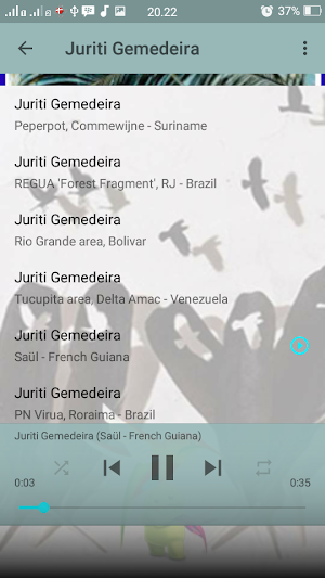 Canto Fêmea de Juriti Gemedeir Screenshot 3