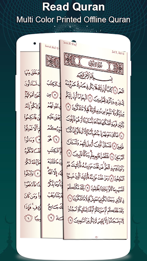 Quran Offline & Quran Pak (Sha Screenshot 1