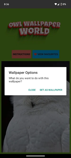 Owl Wallpaper World Screenshot 1