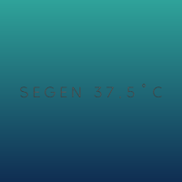 Siegen 375