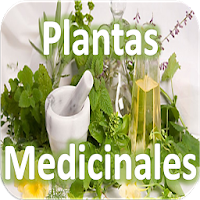 Plantas Medicinales
