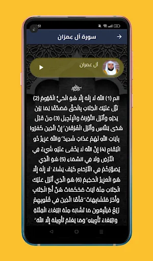 القرآن الكريم ماهر المعيقلي Screenshot 3