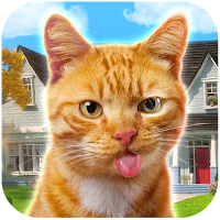 The Cat