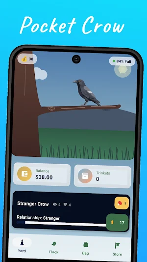 Pocket Crow Screenshot 0