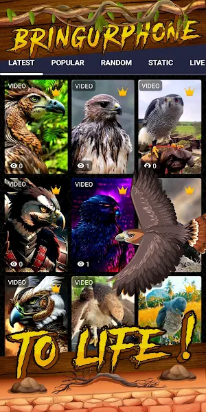 hawk wallpaper Screenshot 1