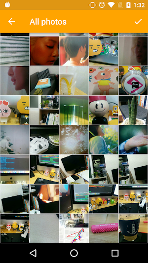 FishBun Demo Screenshot 2