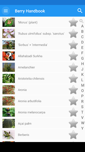 Berry Handbook Screenshot 2