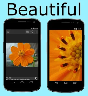 Calendar Gallery Screenshot 3
