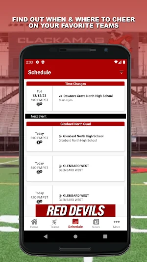 Hinsdale Central Athletics Screenshot 1
