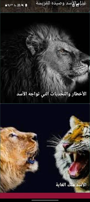 الأسد ملك الغابه Screenshot 3