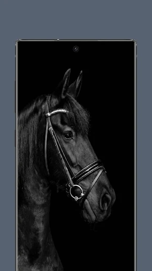 Live horse Wallpaper Screenshot 1