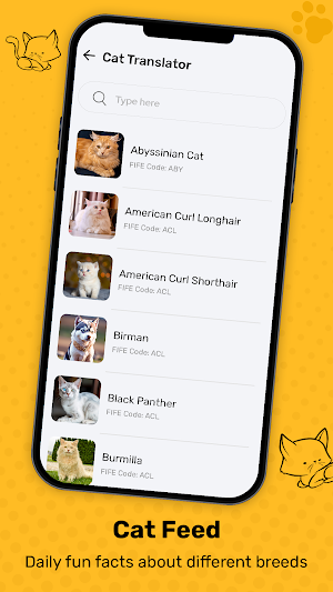Cat Translator Prank Simulator Screenshot 2