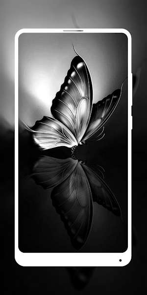 Black White Aesthetic Screenshot 0
