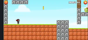 Samurai Ninja Screenshot 2