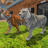 Family Pet Tiger Adventure