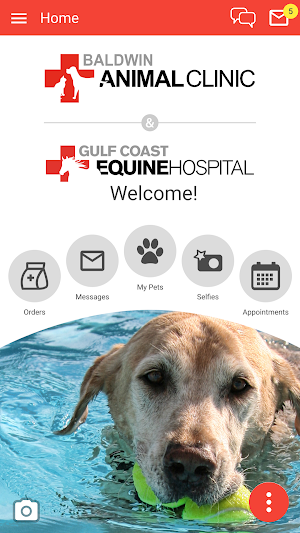 Baldwin Animal Clinic Screenshot 0