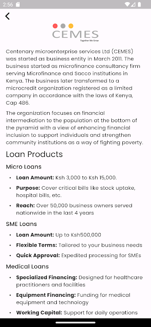 CEMES LOANS Screenshot 1