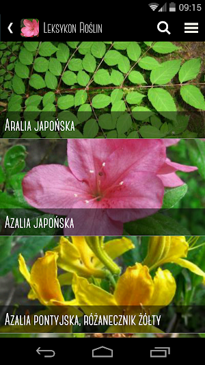 Leśne Arboretum Warmii i Mazur Screenshot 3
