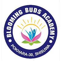 Blooming Buds Academy