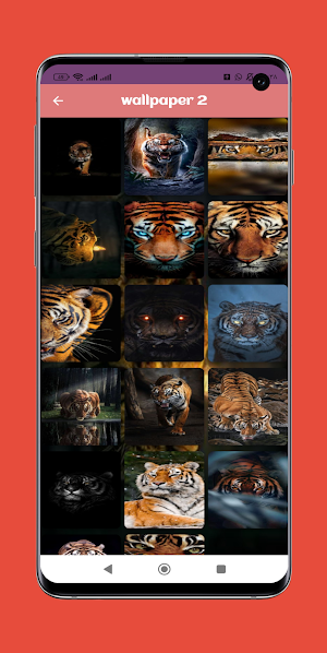 Tiger wallpaper Screenshot 2