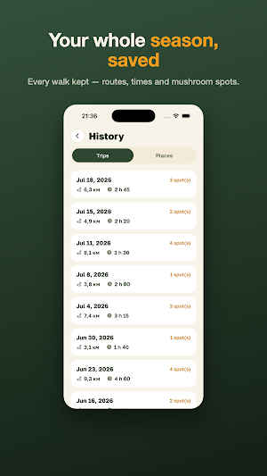 MushTrail: Forest Navigator Screenshot 3