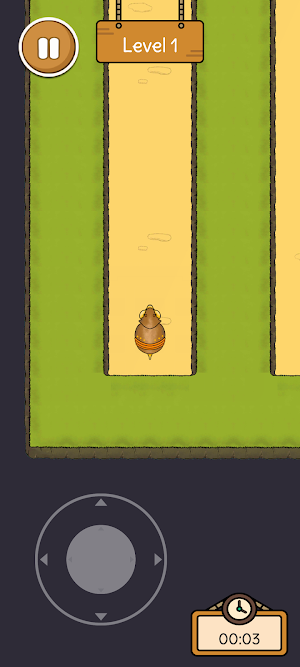 Maze Game Screenshot 0