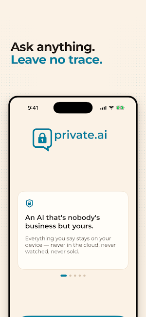 Private.ai Screenshot 0