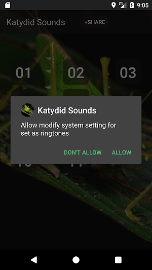 Katydid sounds Screenshot 2
